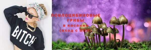 сатива Приозерск