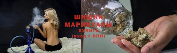 сатива Приозерск
