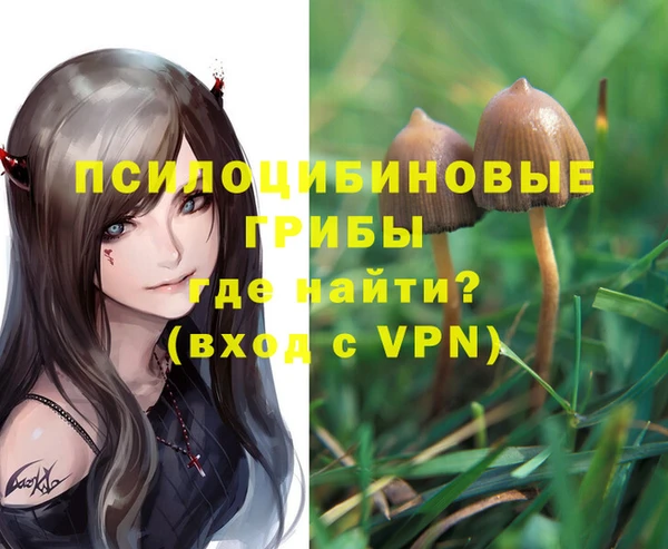 сатива Приозерск