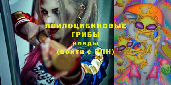 спиды Покровск