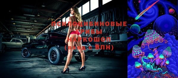 ешки Покачи