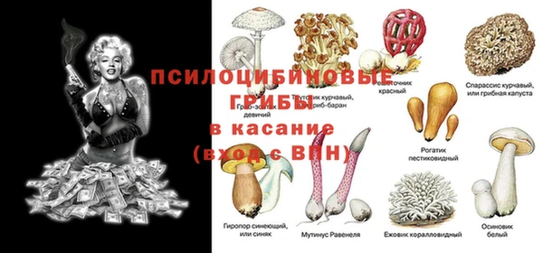 спиды Покровск