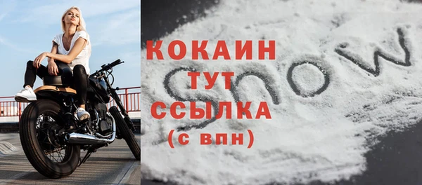 спиды Покровск