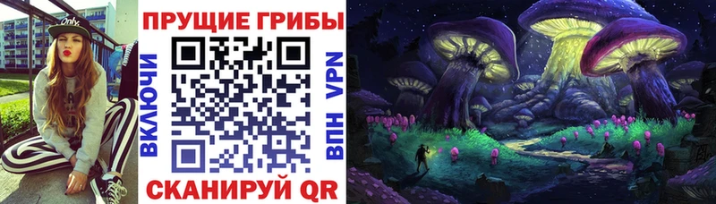 Галлюциногенные грибы MAGIC MUSHROOMS  Аргун 