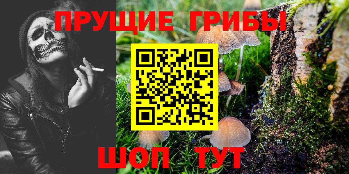 Аргун  Псилоцибиновые грибы мицелий  Вход с VPN 