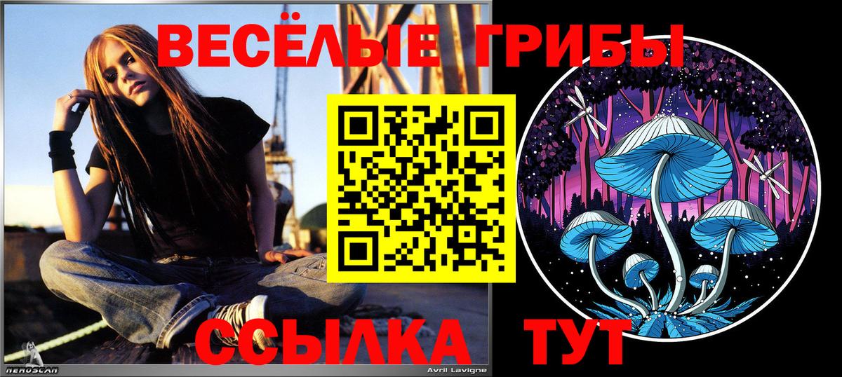 Галлюциногенные грибы Magic Shrooms Аргун