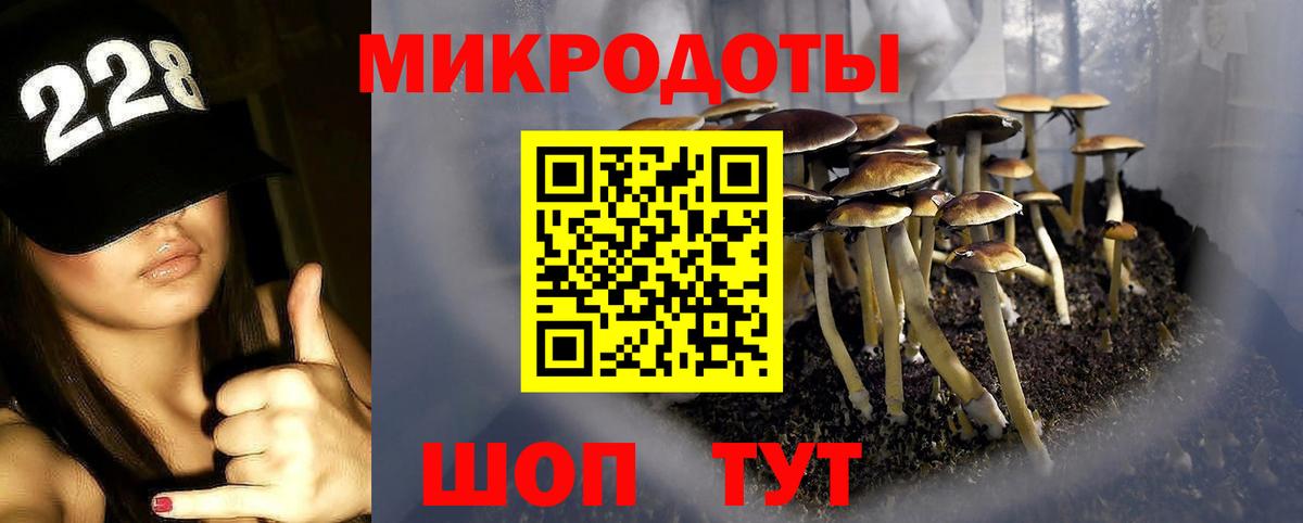 Галлюциногенные грибы прущие грибы Аргун