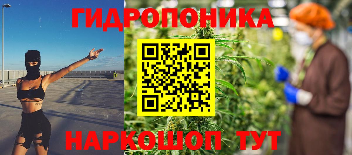 Бошки Шишки VHQ  Бошки Шишки индика  Аргун  Канабис White Widow 